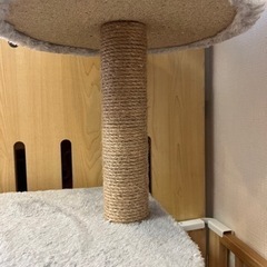 引取中　
美品　　キャットタワー の画像
