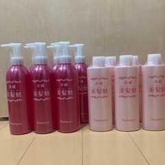 定価¥3000/1本　シャンプーコンディショナー6本セット