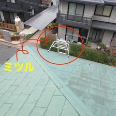 屋根調査 - 便利屋