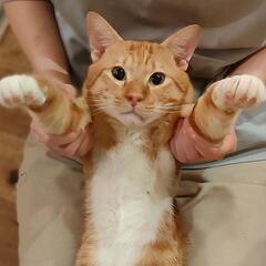 抱っこ膝乗りの超甘えん坊さんです❣️