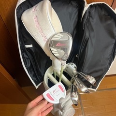 ワールドイーグルのセット取りに来てくださる方、お安くお譲りいたします。の画像