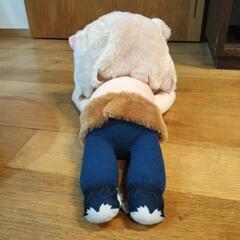 ぬいぐるみ　伊之助の画像