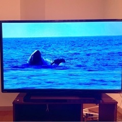 【美品】TOSHIBA REGZA 40型 40S8 テレビ 2015年製
