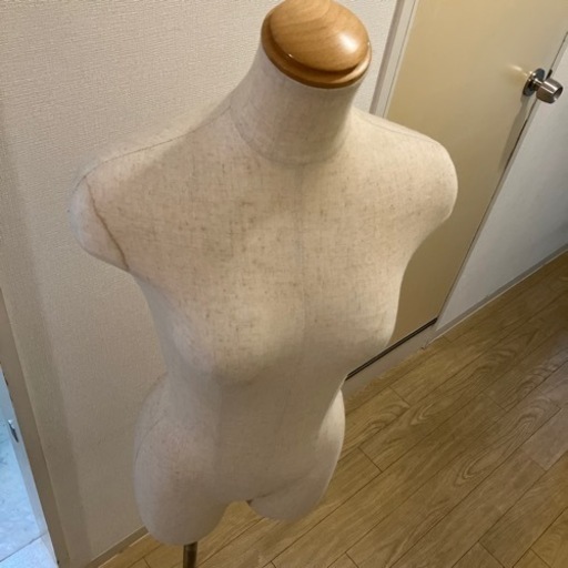 レディーストルソー