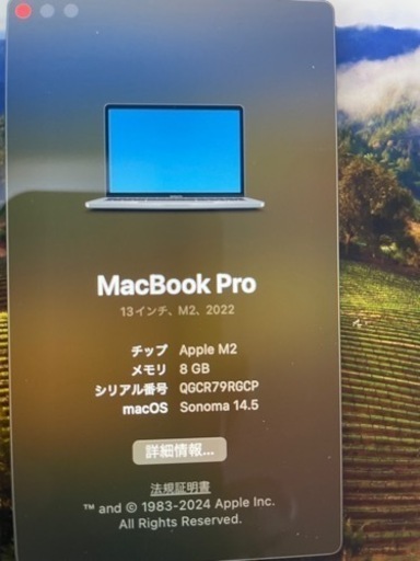 MacBook Pro 2022 M2 メモリ8GB/256 13インチ