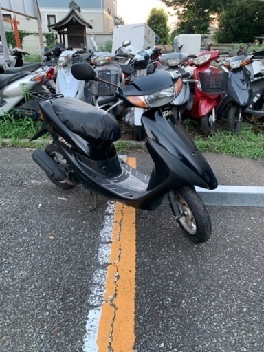 ライブディオ❗️他在庫多数　見学大歓迎❗️