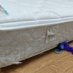 【無料】フランスベッド　マットレス購入価格10万円の画像