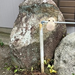 庭石　大きめ