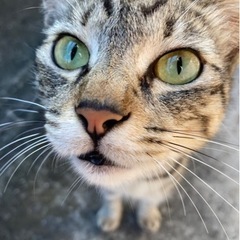 お話し中❣️ 
