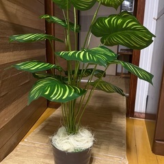 フェイクグリーン