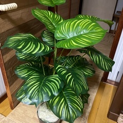 フェイクグリーンの画像