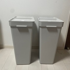 ポリペールの画像