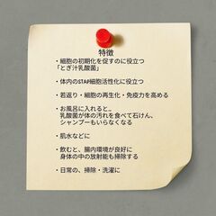 「玄米乳酸菌発酵液」ワークショップのご案内の画像