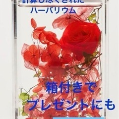 新品未使用です❣️ハーバリウム 箱入り オブジェ ギフト 計算尽...