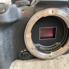 R10 RF-S18-150 IS STMの画像