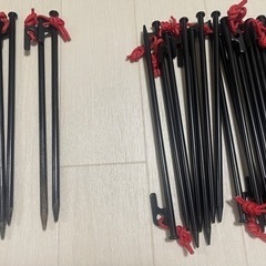 リバロック30cmスチールペグ24本②