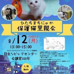 ひたちまちにゃか保護猫里親会(2024/08)