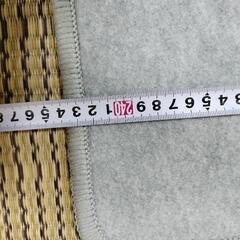 電気ホットカーペット 3畳 作動確認済の画像