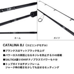 釣具　キャタリナ　BAYJIGGING 66XHSの画像