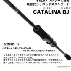 釣具　キャタリナ　BAYJIGGING 66XHSの画像