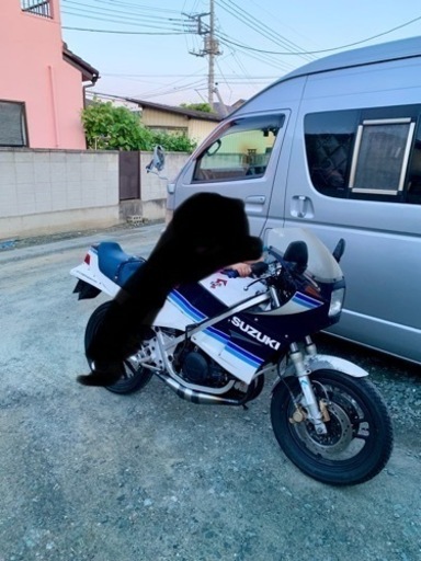 rg250γ ガンマ初期型 パラレルツイン 社外チャンバー付き