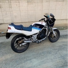rg250γ ガンマ初期型　パラレルツイン　社外チャンバー付き　の画像