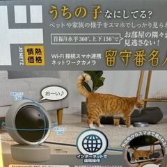 見守りカメラの画像