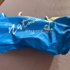 資生堂ナツコ 昭和レトロ プールバッグ 夏子