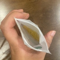 歯科矯正ゴムの画像