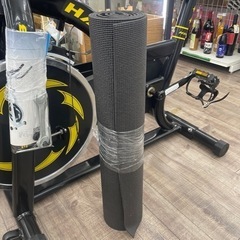 HAIGE スピンバイクの画像