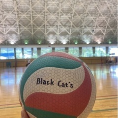 8月4日バレーメンバー募集！！