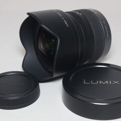 LUMIX G VARIO 7-14mm F4.0 ASPH. | レンズを探す | フォー