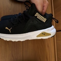 子供　靴　19センチ　セット　プーマ　　瞬足の画像