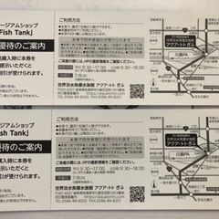 アクアトト岐阜　園児無料券2枚の画像