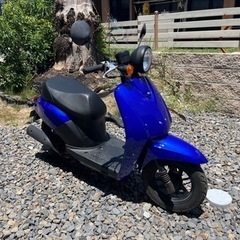ホンダ　トゥデイ　原付　外装　シート　プラグ他交換済　自賠責たっ...