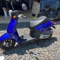 ホンダ　トゥデイ　原付　外装　シート　プラグ他交換済　自賠責たっぷりありの画像