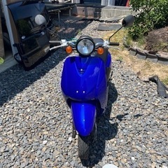 ホンダ　トゥデイ　原付　外装　シート　プラグ他交換済　自賠責たっぷりありの画像