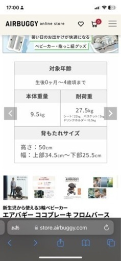 エアバギーココ　ブラック(バンパーも)