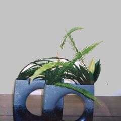 生花サロン・月1回、お花の好きな方の集まりです！の画像