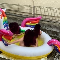 子供用　プール