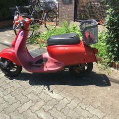 ジョルカブの画像