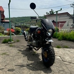 ホンダモンキー50cc