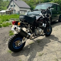 ホンダモンキー50ccの画像