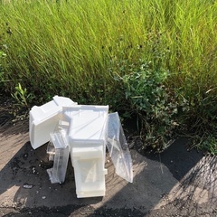 中古冷蔵庫の画像