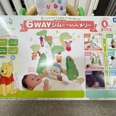 プーメリーの中古が安い！激安で譲ります・無料であげます(15