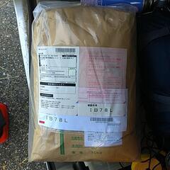 令和5年栃木農家産直こしひかり10kg