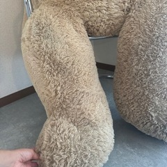 costco テディベアの画像