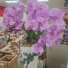 光触媒造花