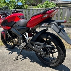 ⭐️Kawasaki.BAJAJパルサー200⭐️長い自賠責.令和8/7付き⭐️走行少ない⭐️の画像