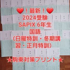 【★最新★2024受験】【駒東対策（国語）】Sapix6年SS特...